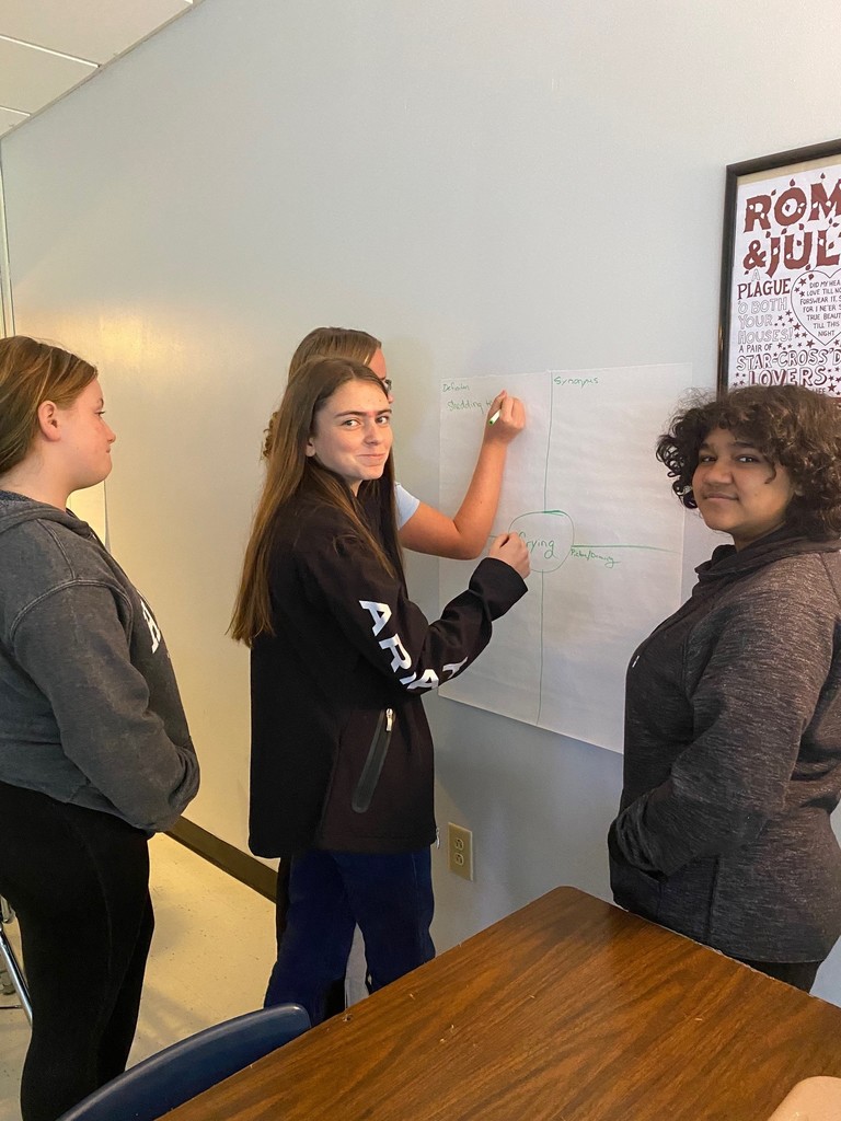 Students completing Frayer Models.