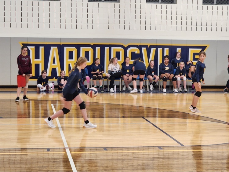 volleyball team in action 